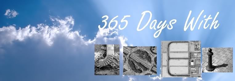 365 Days With Joel