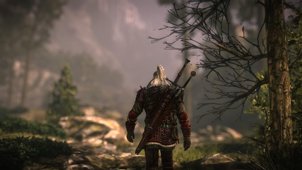 witcher22011-10-1723-18-18-66.jpg