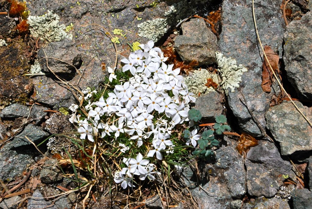 DSC_0285.jpg