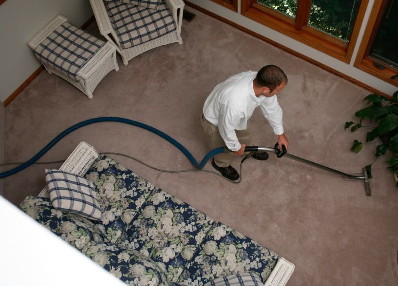 Carpet Cleaning Alexandria VA - Homestead Business Directory