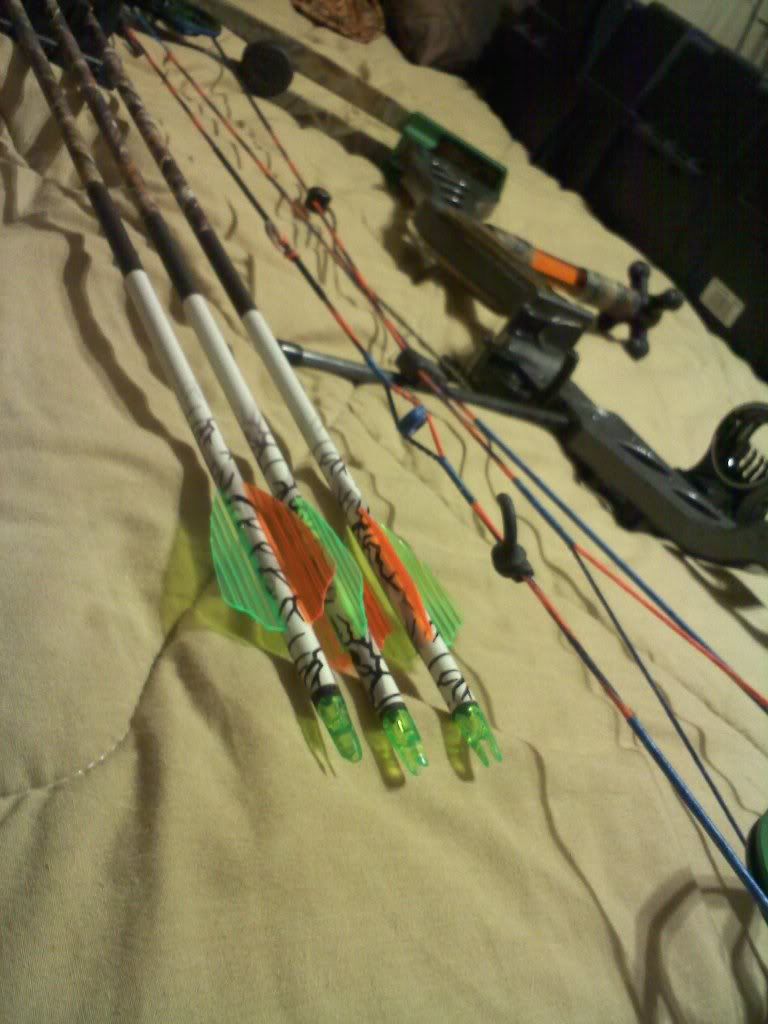 blazer vanes vs. fusion ??? Archery Talk Forum