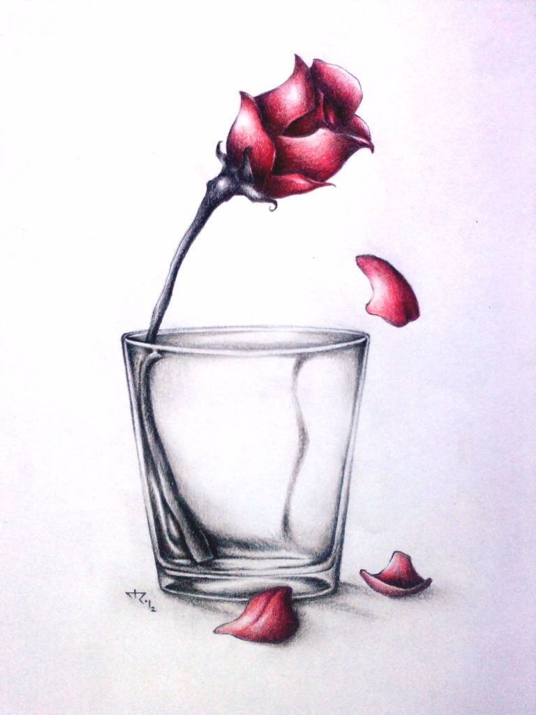 Rosa Rosas Lapiz Ecro Pictures