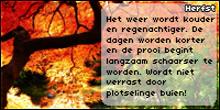 Het is herfst