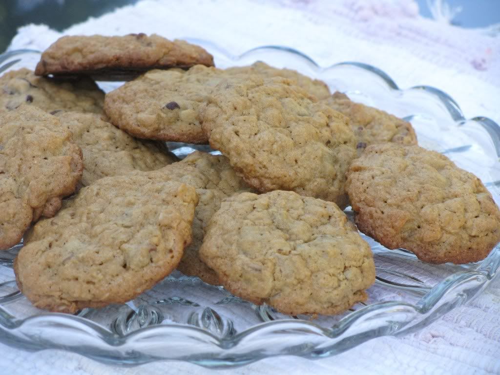 Oatmeal Chocolate Chip Cookies