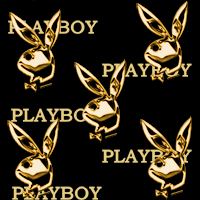PLAYBOY BUNNY Pictures, Images and Photos