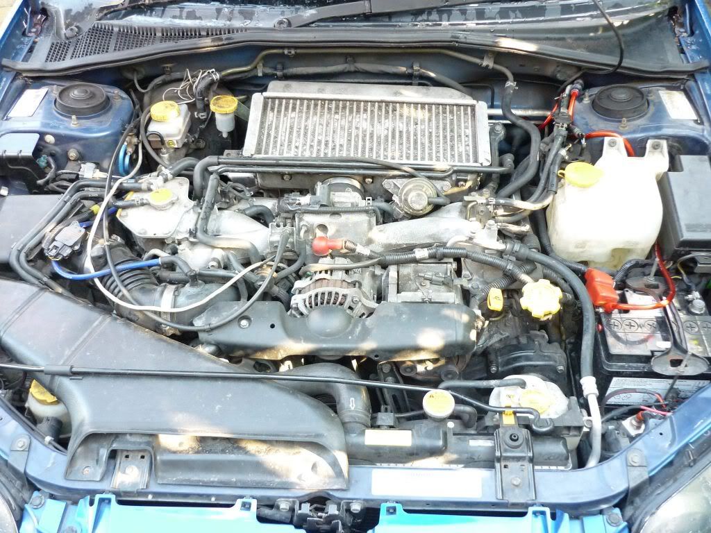 335717_269354619756401_100000455947150_1001115_870223961_o.jpg