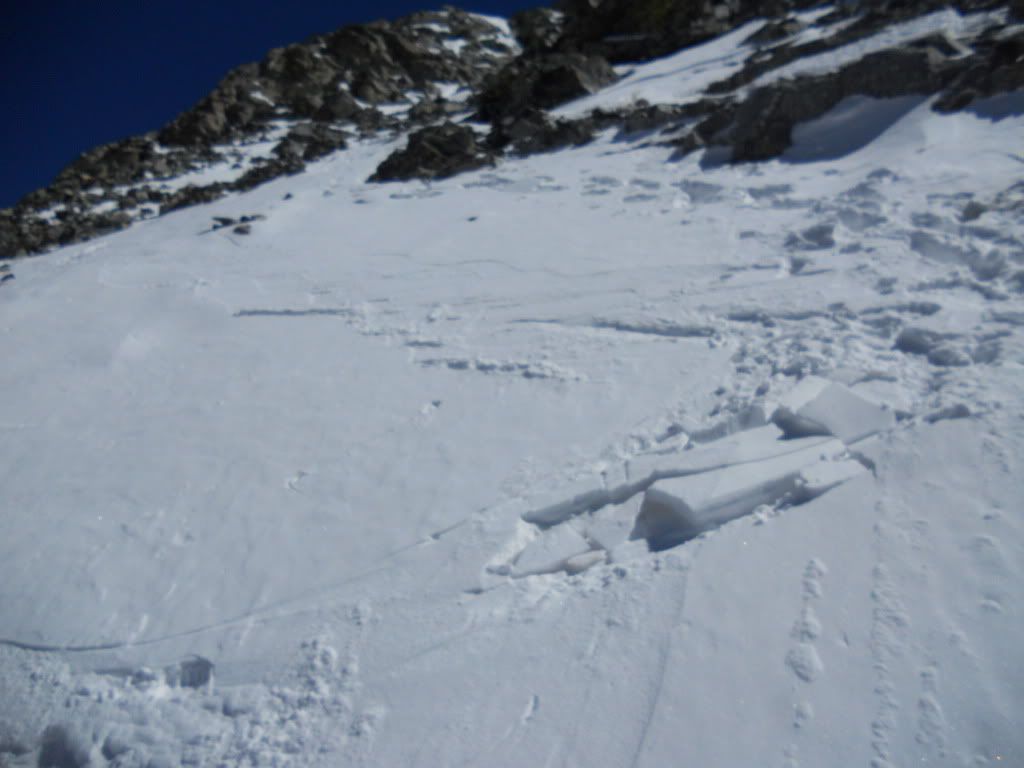 Blanca134.jpg
