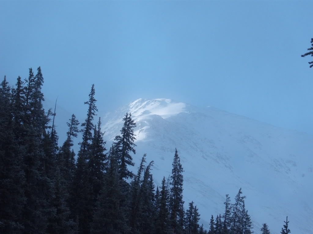 DSCF8004.jpg
