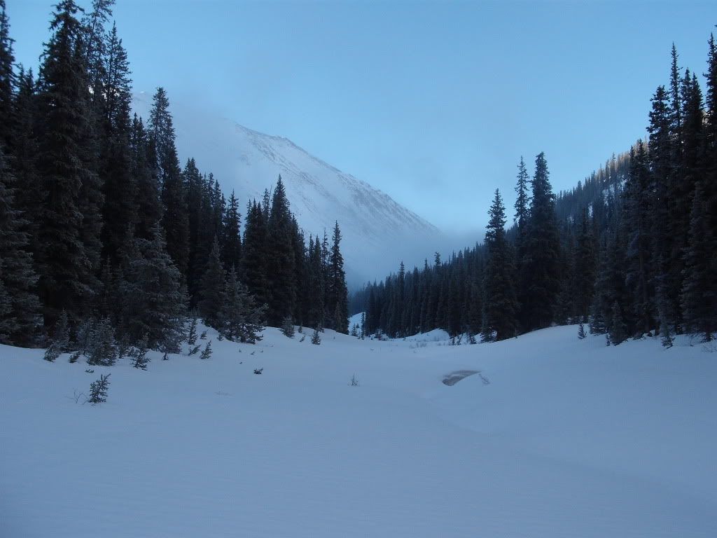 DSCF8005.jpg