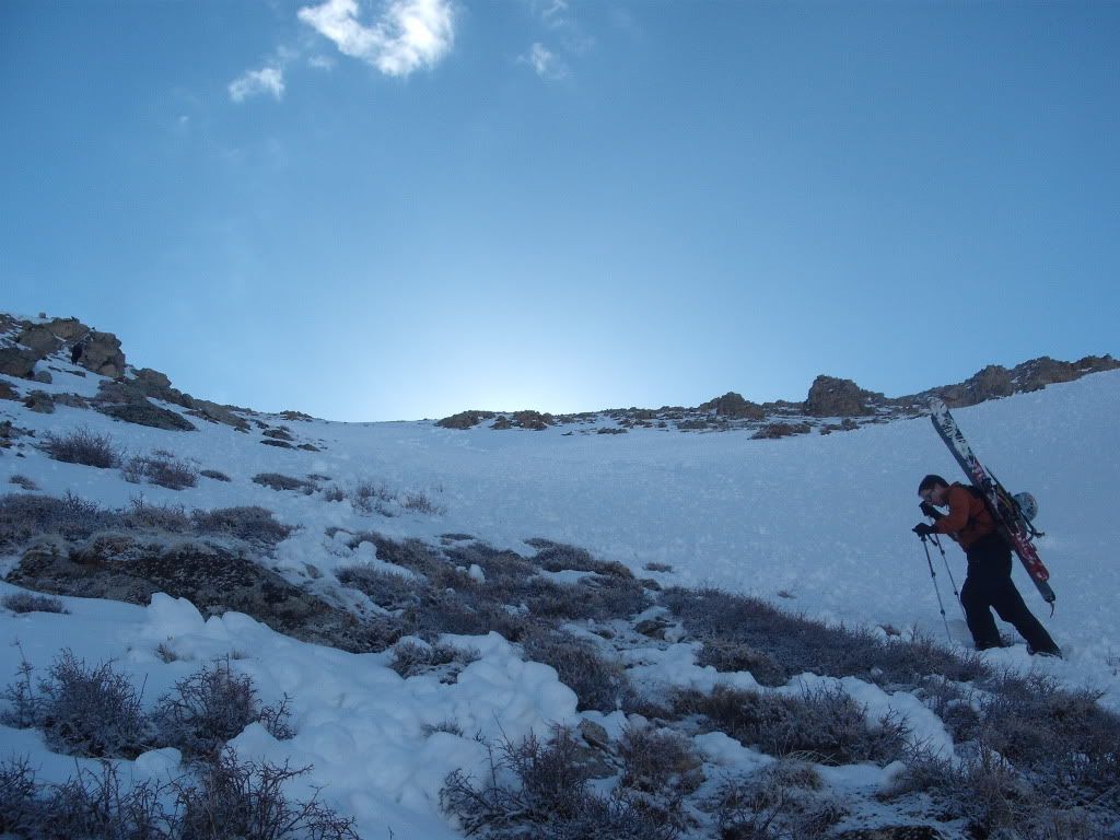 DSCF8008.jpg