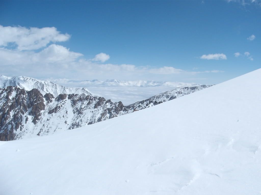 DSCF8017.jpg