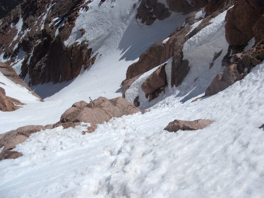 DSCF8131.jpg<br