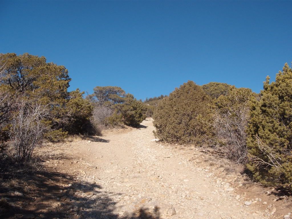 EllingwoodPointSki001.jpg