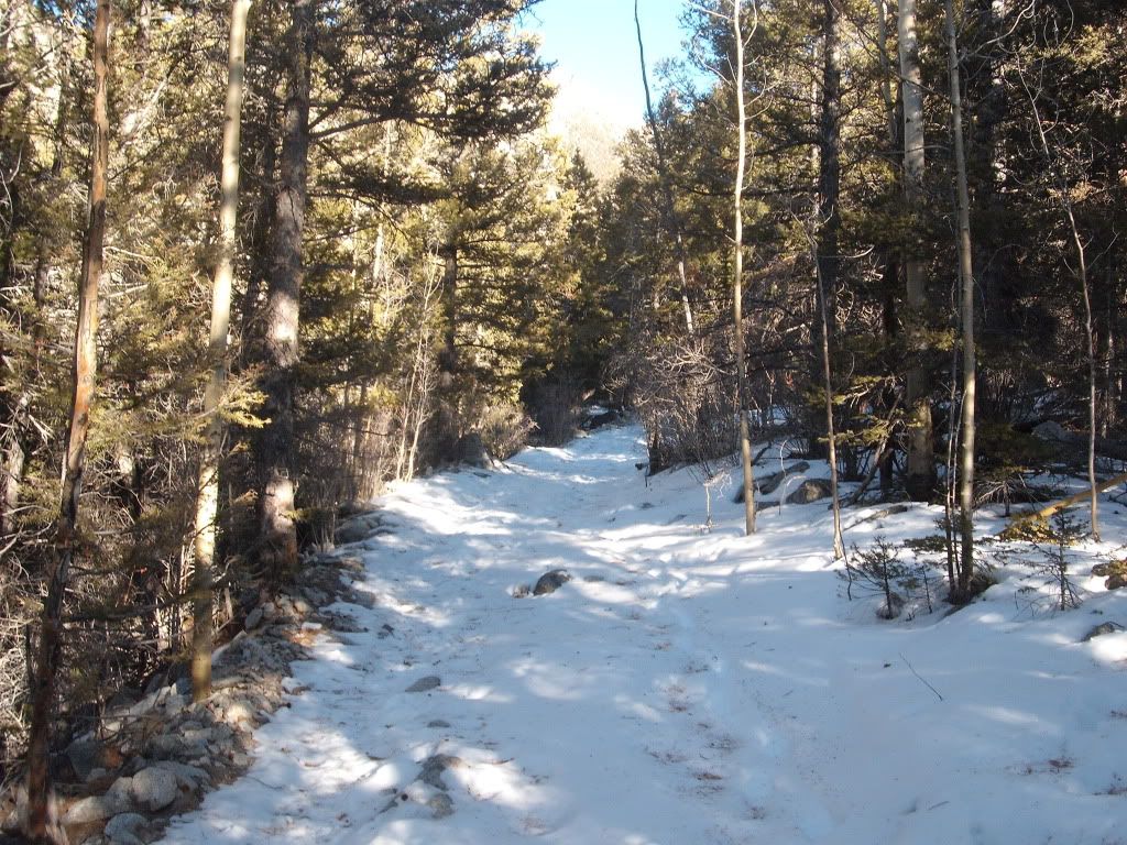 EllingwoodPointSki002.jpg