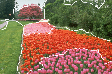 vision-segmentation_zpsdjflwp1c.gif