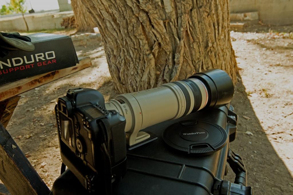 IMAGE: http://i1110.photobucket.com/albums/h454/mortuarymike/039_zpsad9193e5.jpg