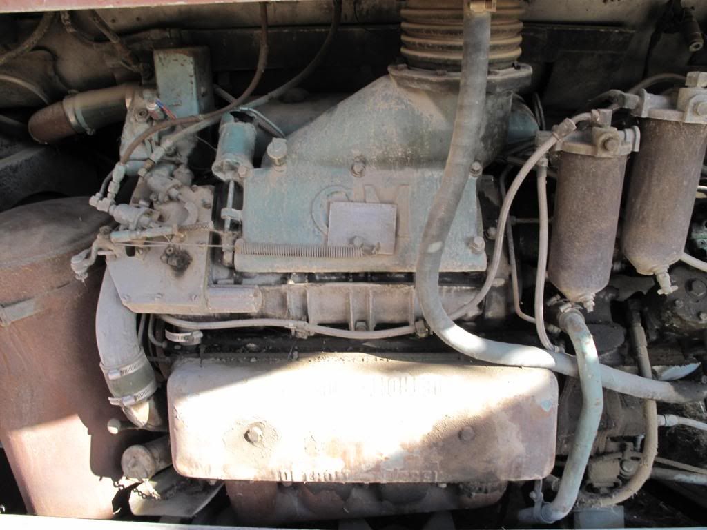 IMAGE: http://i1110.photobucket.com/albums/h454/mortuarymike/IMG_3150_zps267ade7f.jpg