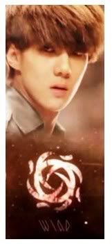 exo-12-members-logo-symbol-by-smtownfami
