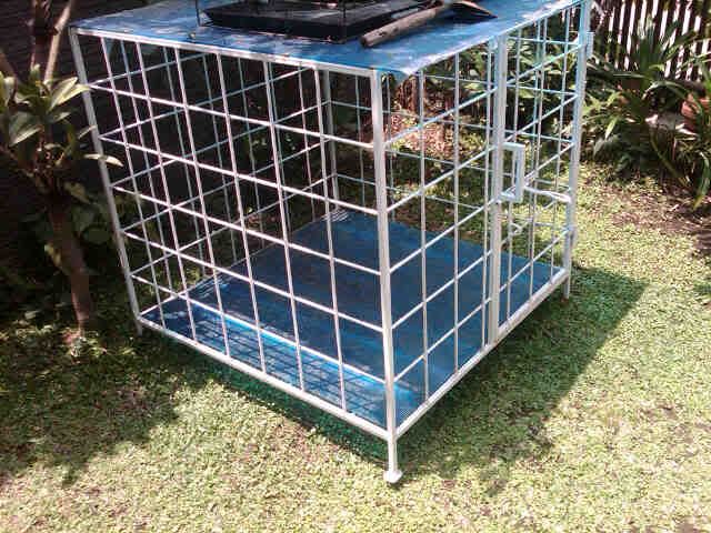Jual Kandang Anjing Kucing Petshop Dan Hewan Piaraan Jual Kandang Anjing Kucing Petshop Dan Hewan Piaraan
