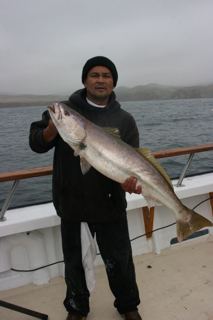 PacificDawn2012006.jpg
