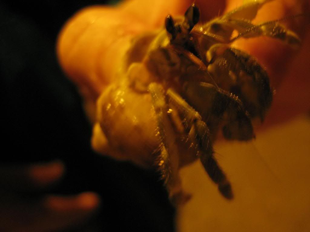 IMG_0375.jpg