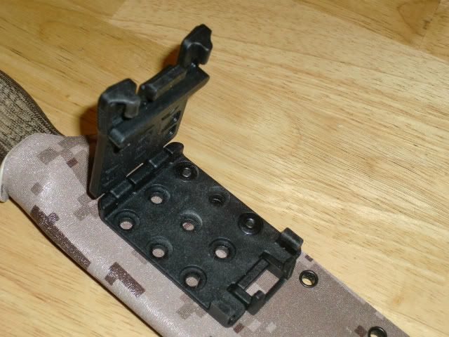[Linked Image from i1110.photobucket.com]