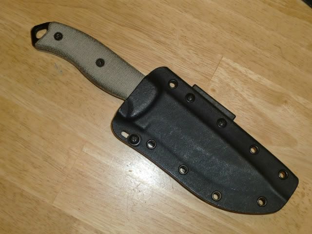 [Linked Image from i1110.photobucket.com]