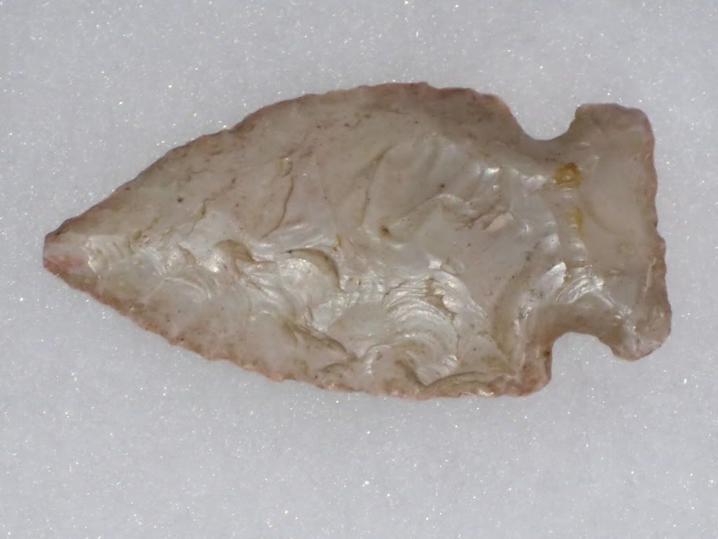 [Linked Image from i1110.photobucket.com]