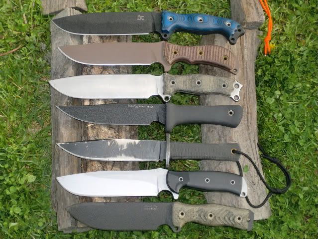 [Linked Image from i1110.photobucket.com]