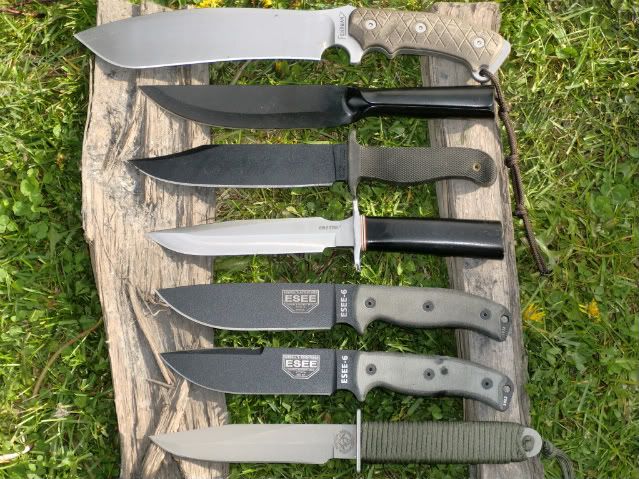 [Linked Image from i1110.photobucket.com]