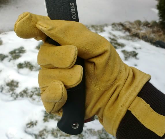 [Linked Image from i1110.photobucket.com]