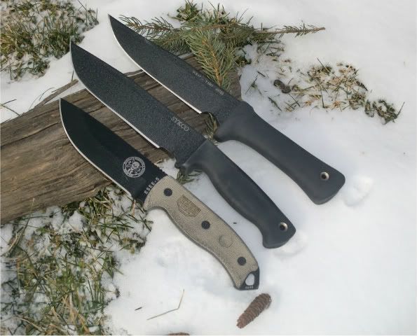 [Linked Image from i1110.photobucket.com]