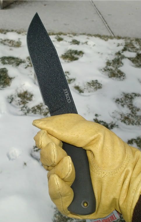 [Linked Image from i1110.photobucket.com]