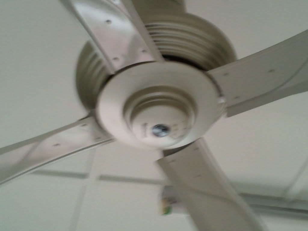 Home Applicances Ceiling Fan