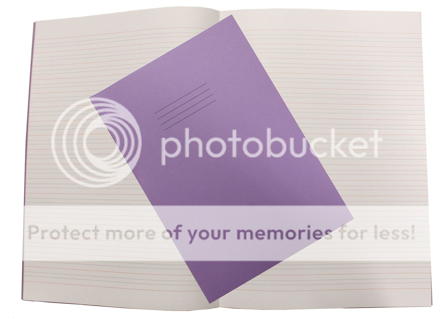 Conclusion for the color purple essay picture