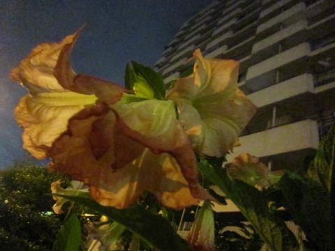 photo 117_zps9f1b26e4.jpg