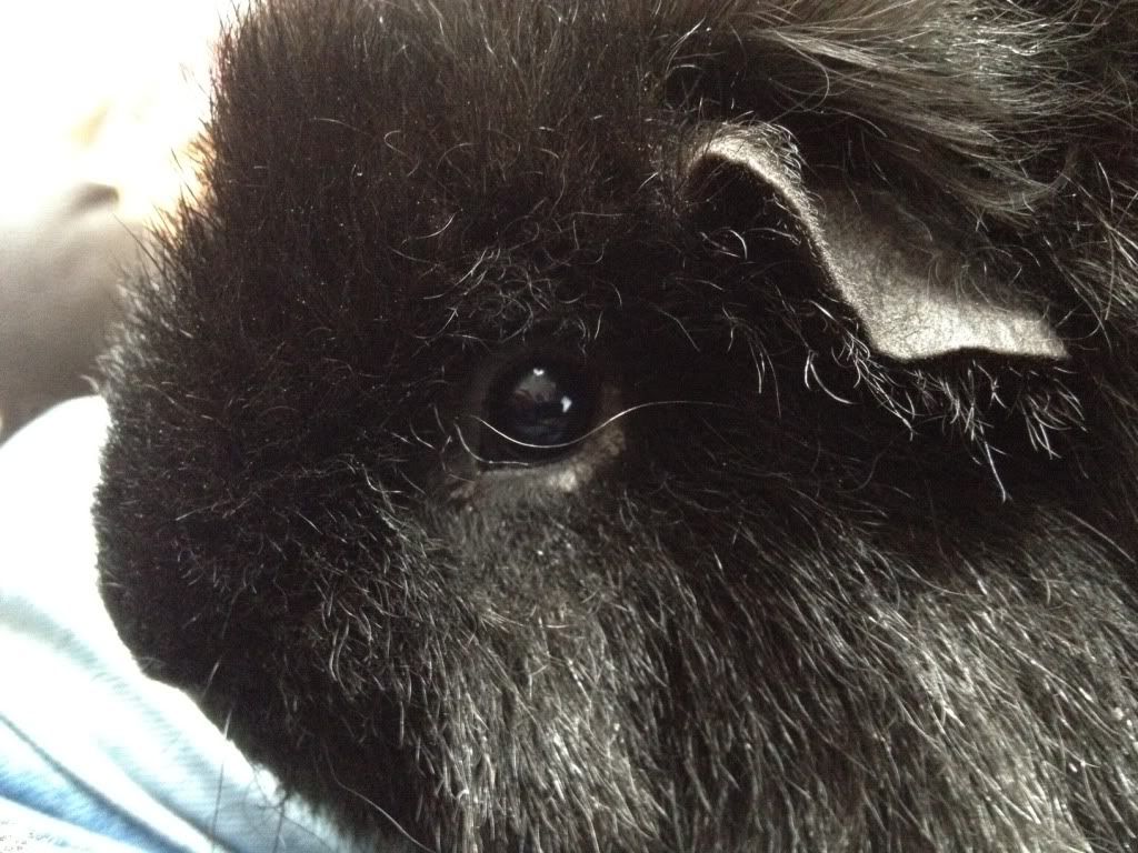 photo28.jpg